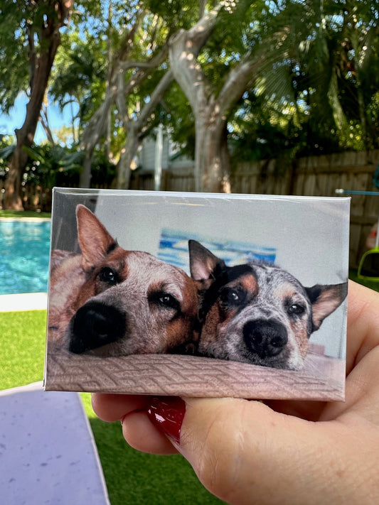 Why Custom Photo Magnets Make the Best Personalized Gifts