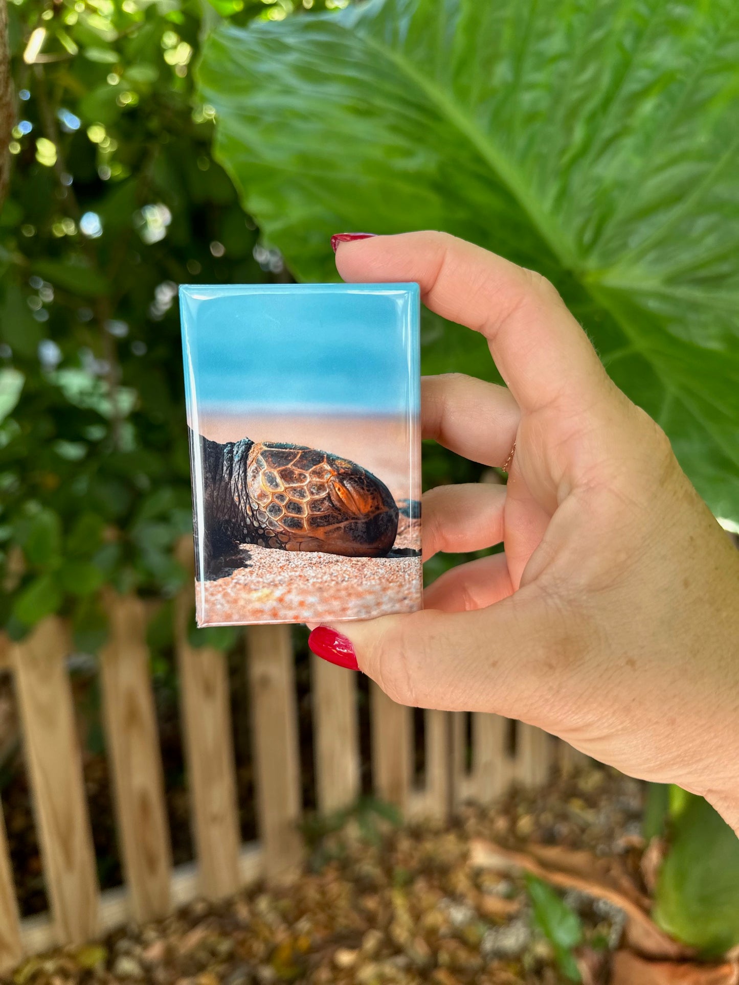 Twelve (12) Custom Refrigerator Magnets – Personalized Photo Magnets
